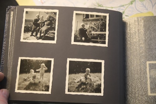 Album fotografico foto - album,